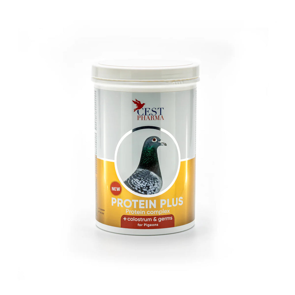 PROTEIN PLUS