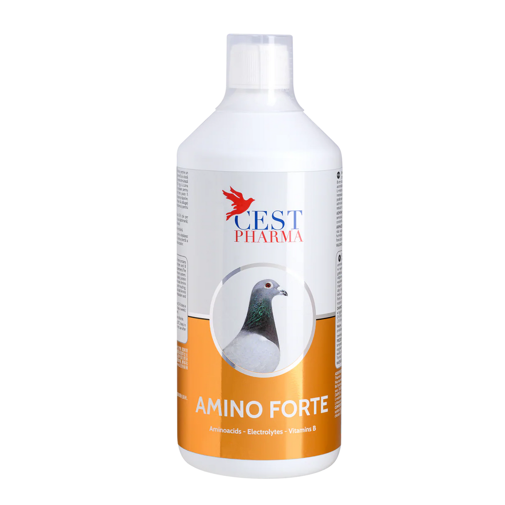 AMINO FORTE 1000ML