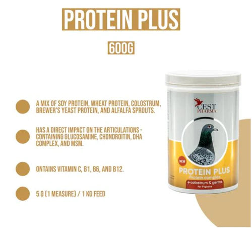 PROTEIN PLUS