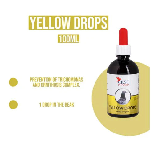 YELLOW DROPS 30ml