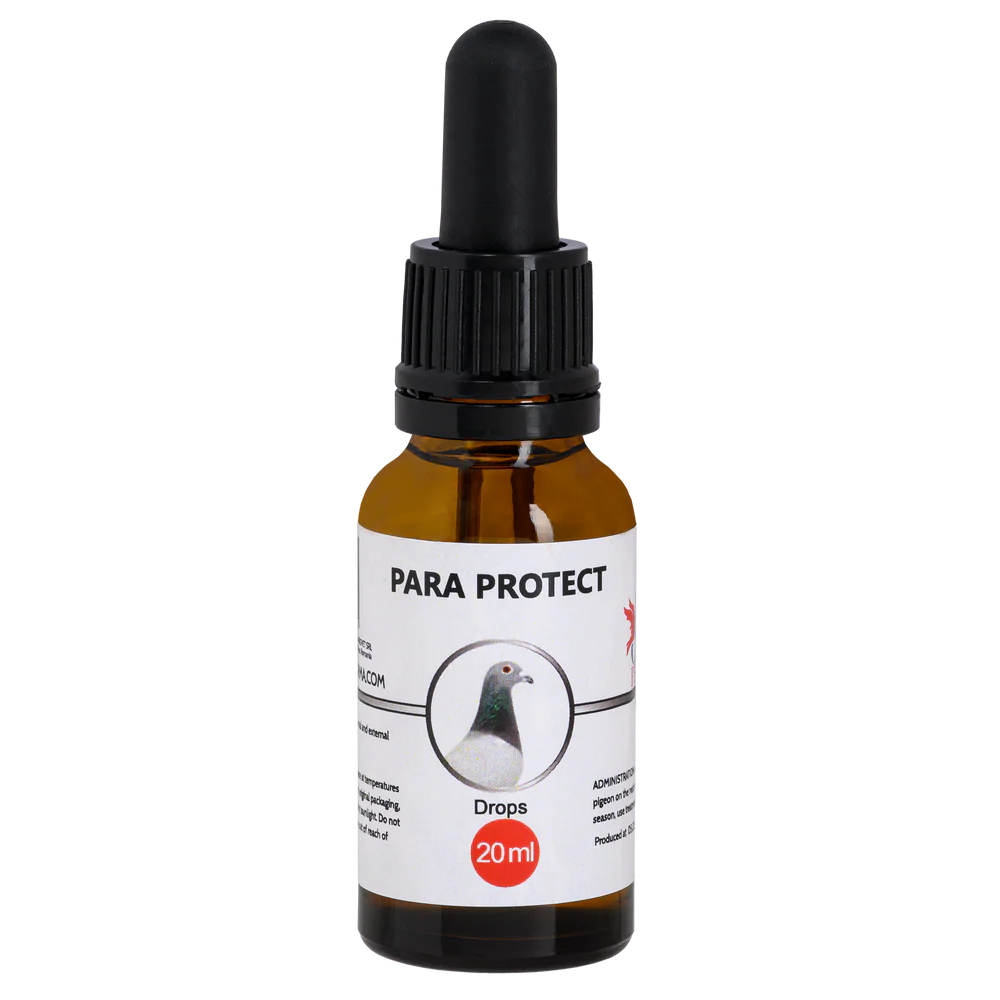PARA PROTECT
