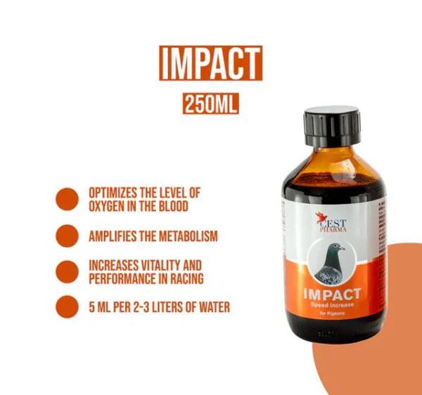 IMPACT 100ml