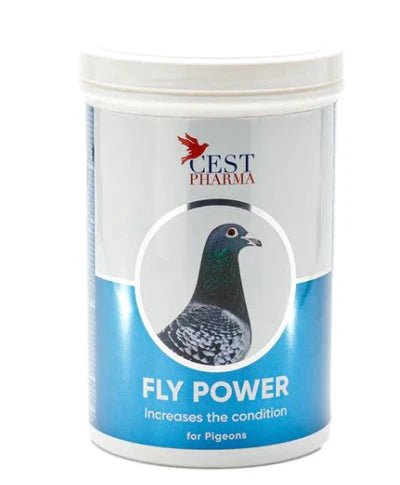 FLY POWER