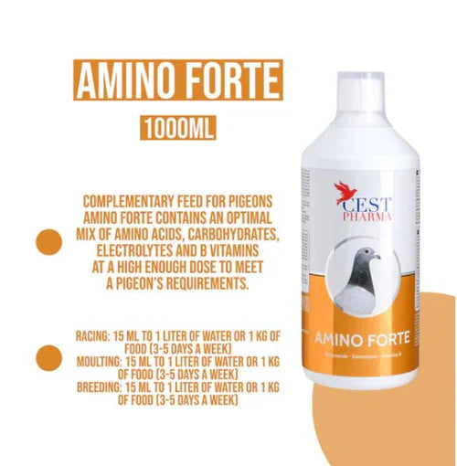 AMINO FORTE 1000ML