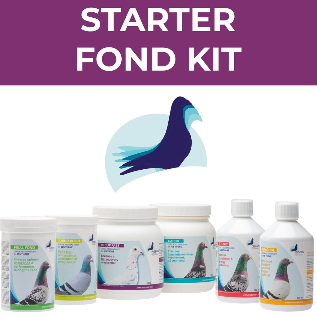 Starter Fond Kit – Pack Completo para Palomas de Carrera