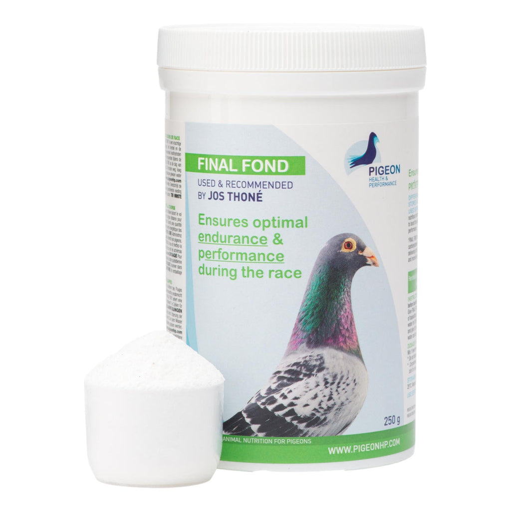 Starter Fond Kit – Pack Completo para Palomas de Carrera