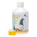 Starter Fond Kit – Pack Completo para Palomas de Carrera