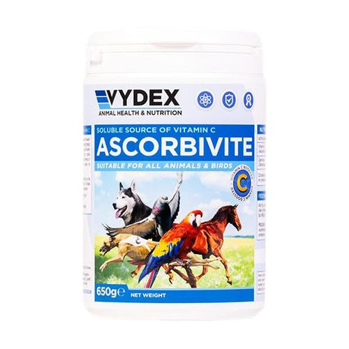 Ascorbivite Vydex 500g – Water-Soluble Vitamin C for Pigeons and Birds