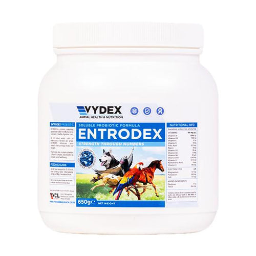 Entrodex Vydex 500g