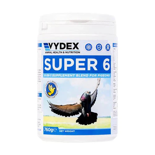 SUPER 6