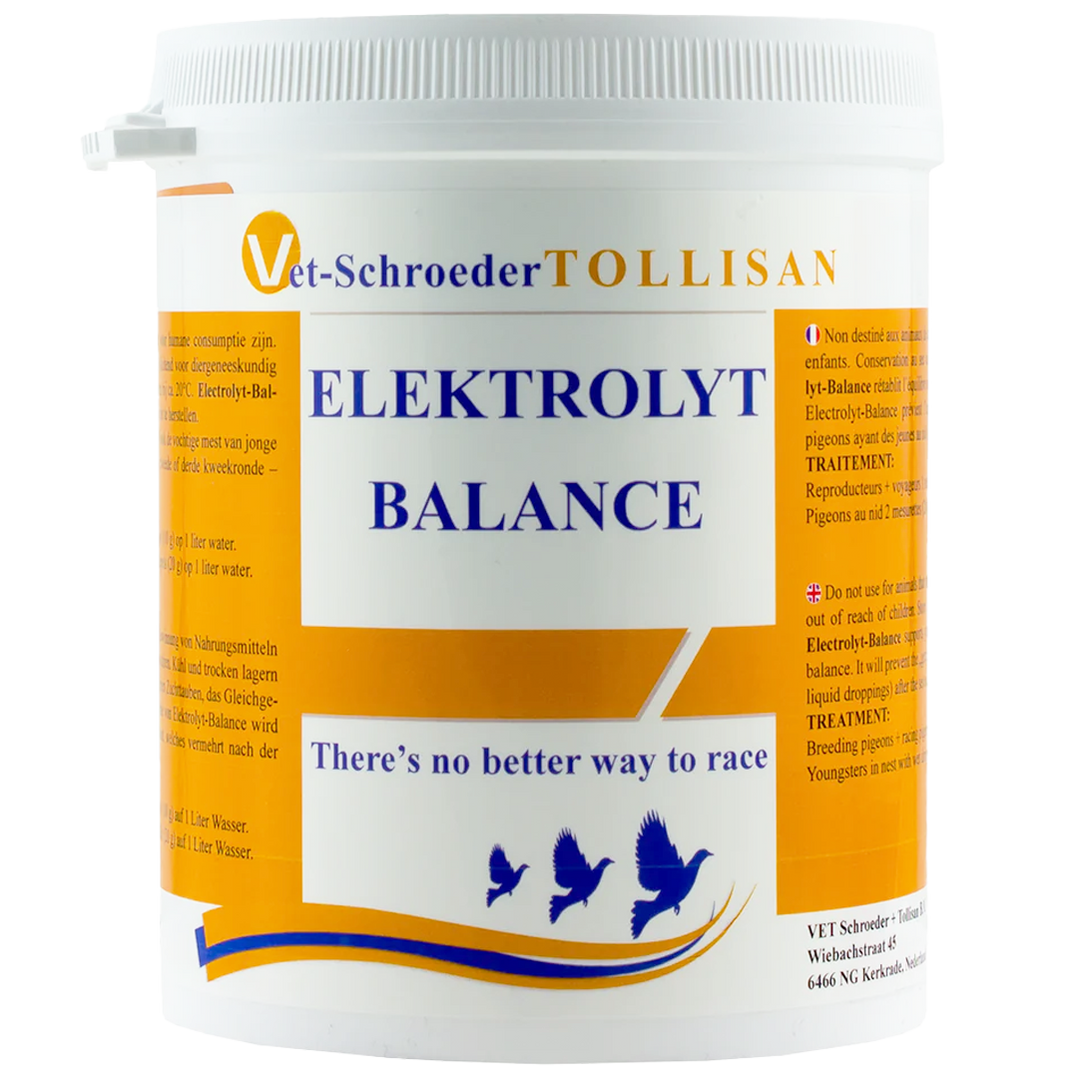 TOLLISAN ELECTROLYTE BALANCE 500 G