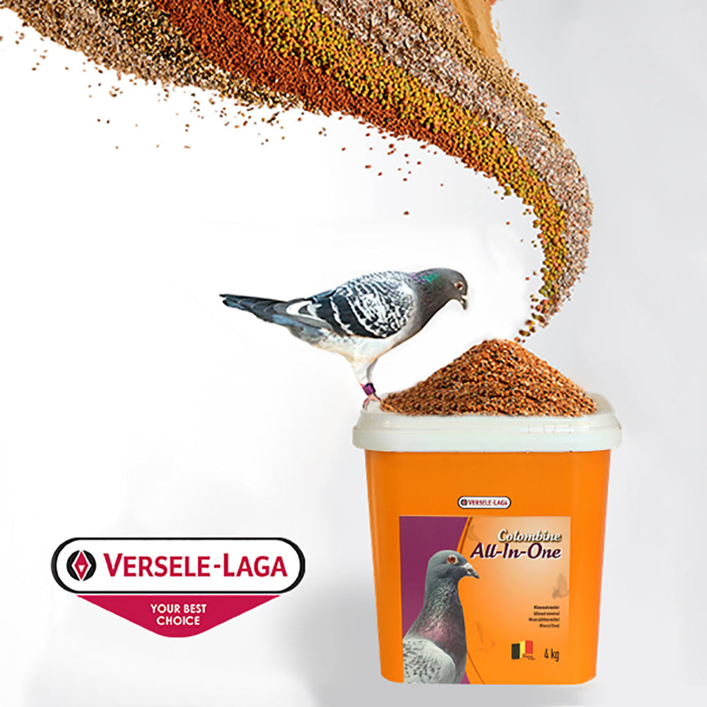 VERSELE-LAGA ALL IN ONE MINERAL GRIT 22 LB