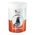 ENERGY PLUS