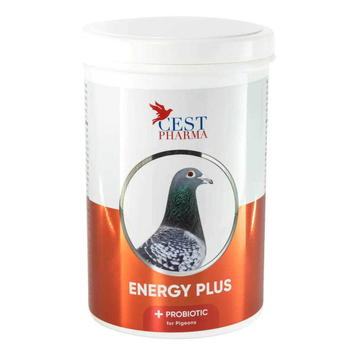 ENERGY PLUS