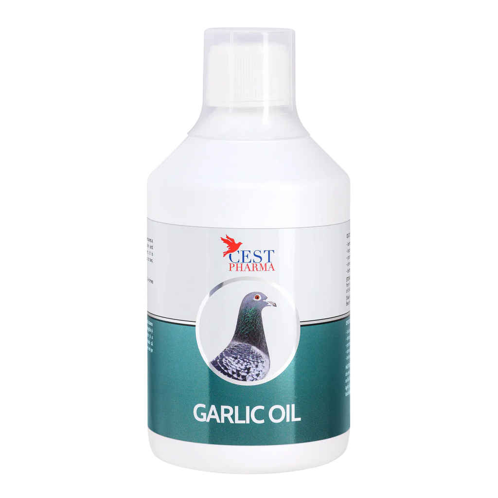 GARLIC OIL 500ml